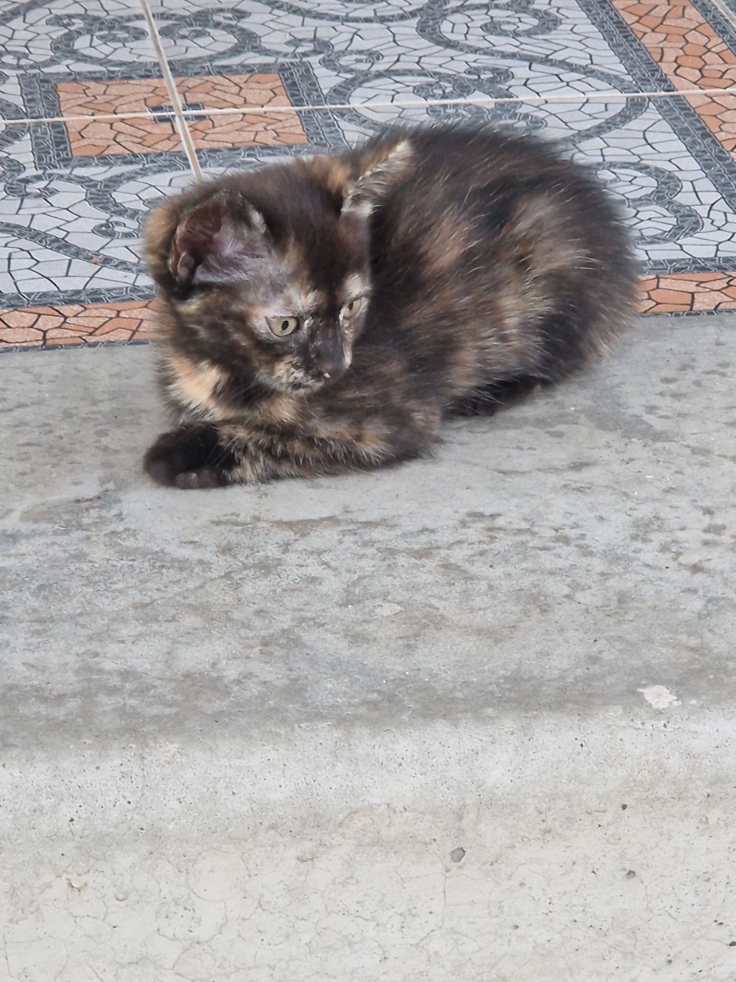 Кото-Амулетик щастя