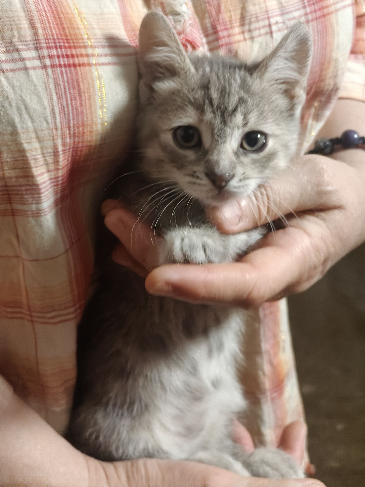 Тая, 2 місяці