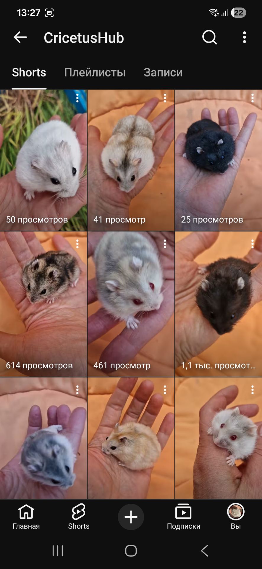 Лот для зоомагазинів