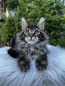 Хлопчик Unix