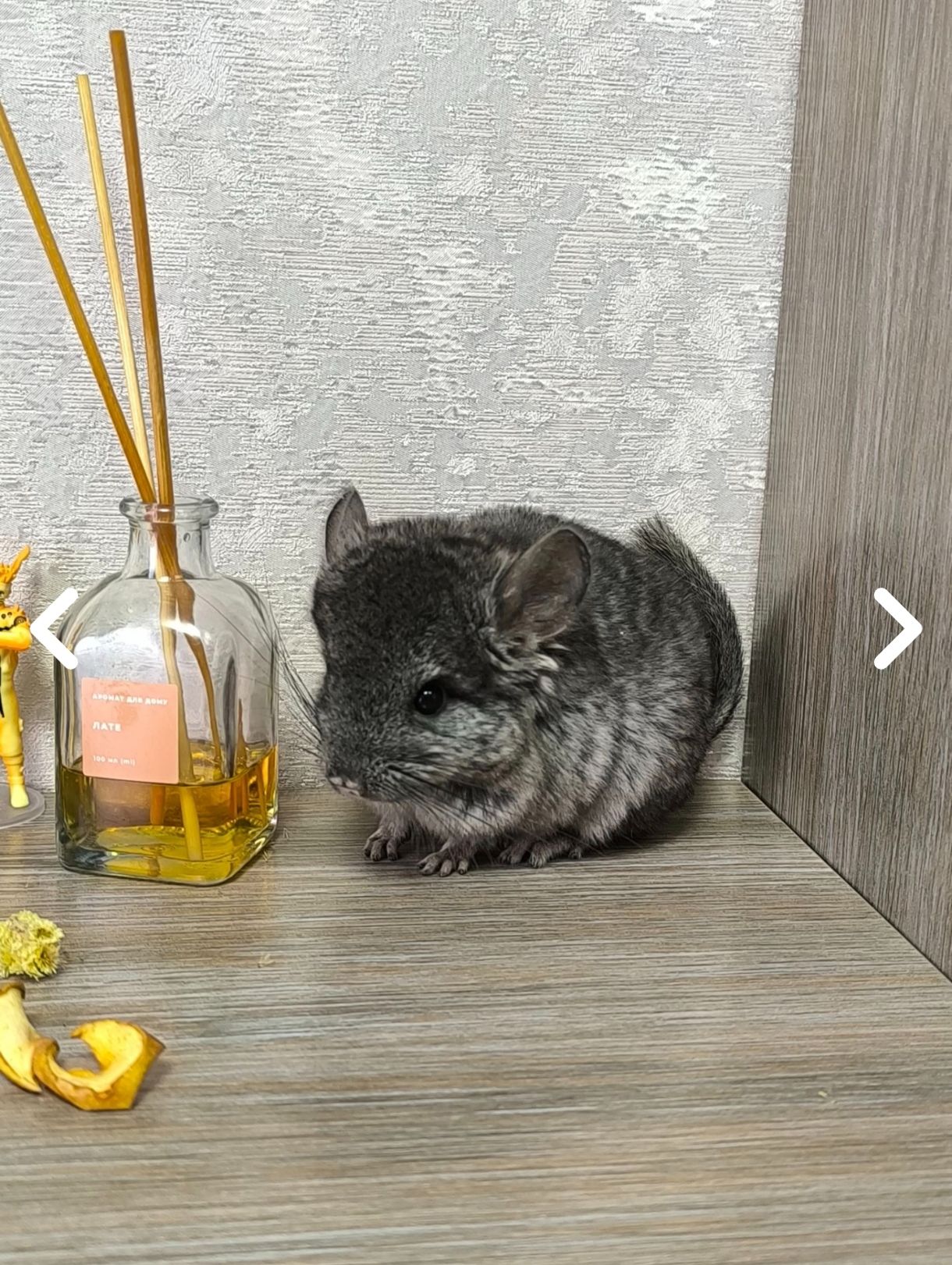 Мила дівчинка