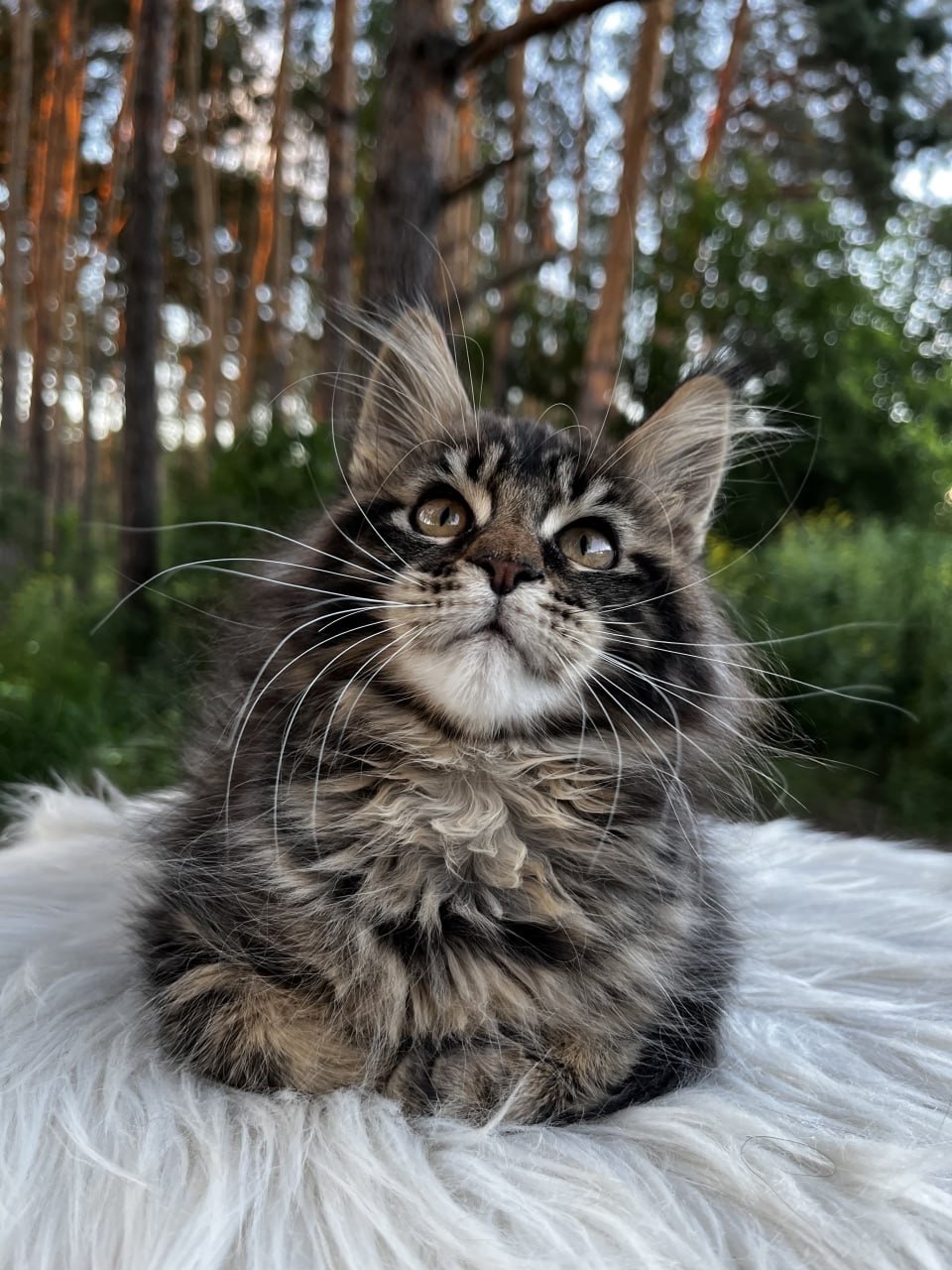 Дівчинка Uki