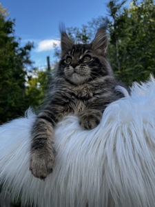 Дівчинка Uki