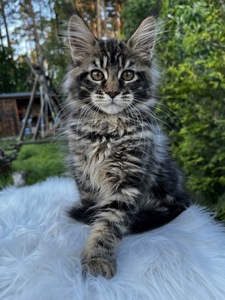Дівчинка Uki