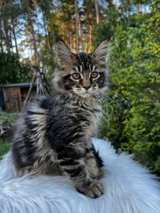 Дівчинка Uki