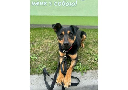 Перетримка закінчується, йому нікуди йти! ❤️‍🩹