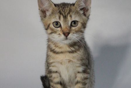 Вишенька, 2 місяці