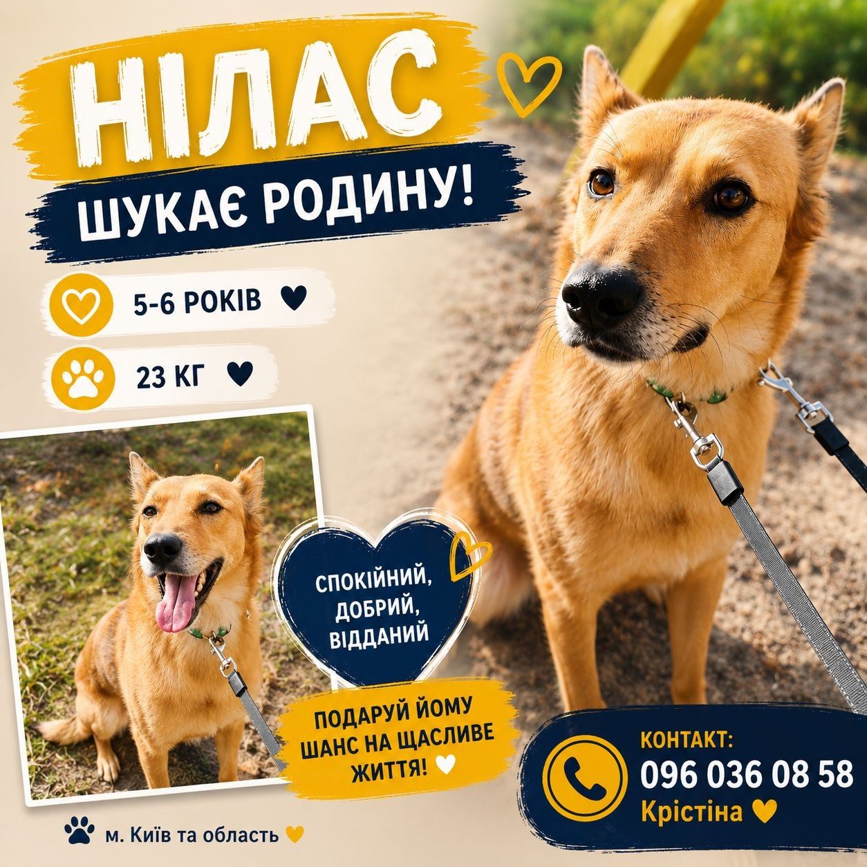 🆘 НІЛАС ТЕРМІНОВО ШУКАЄ РОДИНУ або нового куратора🆘🏡