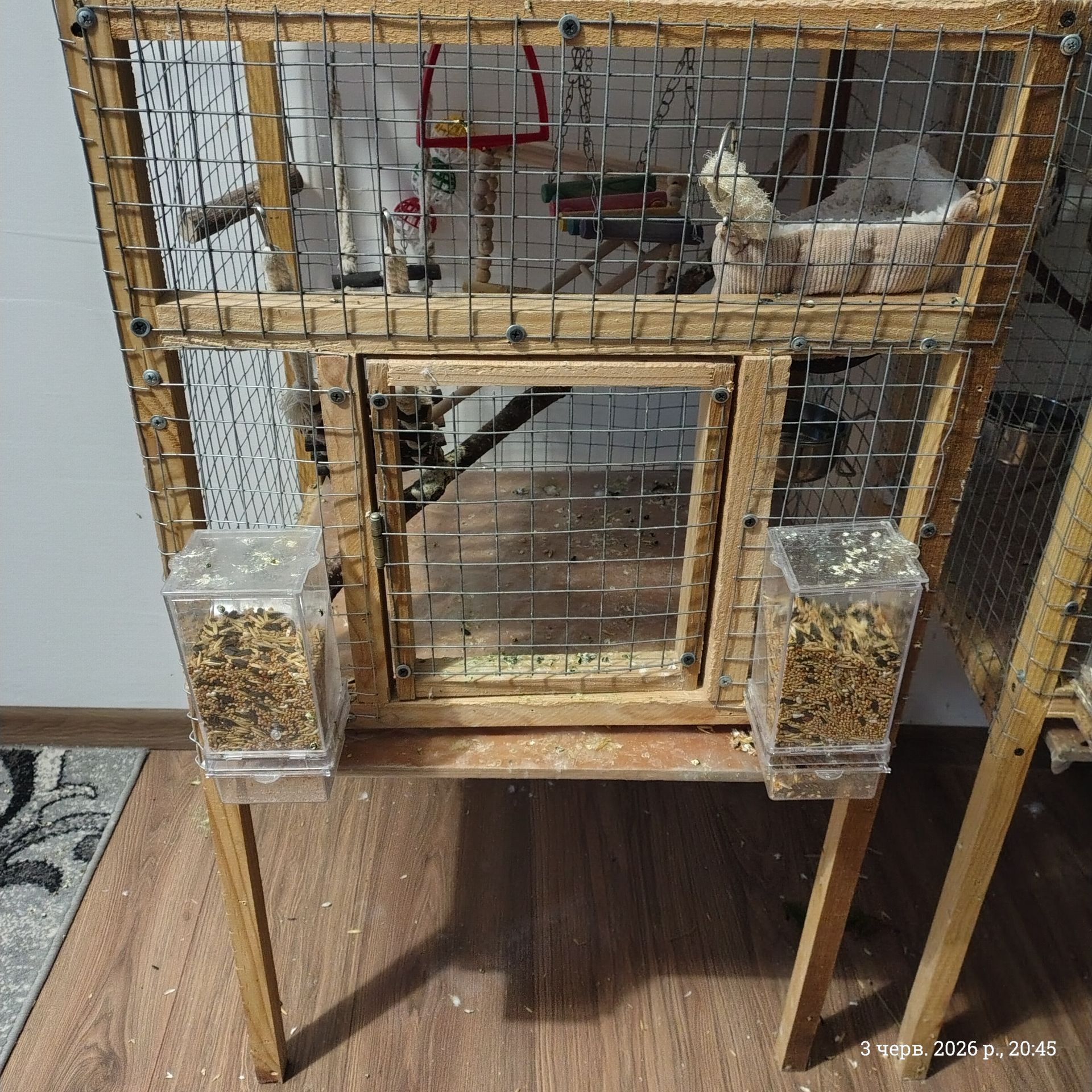 Продам двох корелл з кліткою 🦜