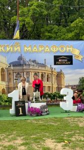 Краще цуценя виставки дівчинка Американської Акіти
