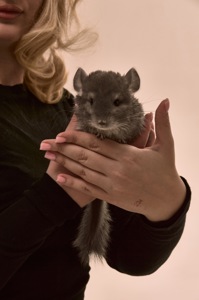 Милий хлопчик