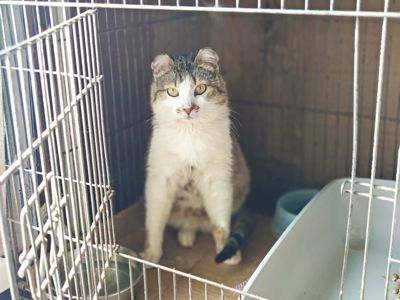 Кузя