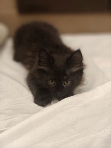Кузя, 2 місяці