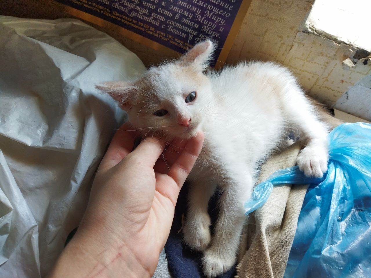Кляксик