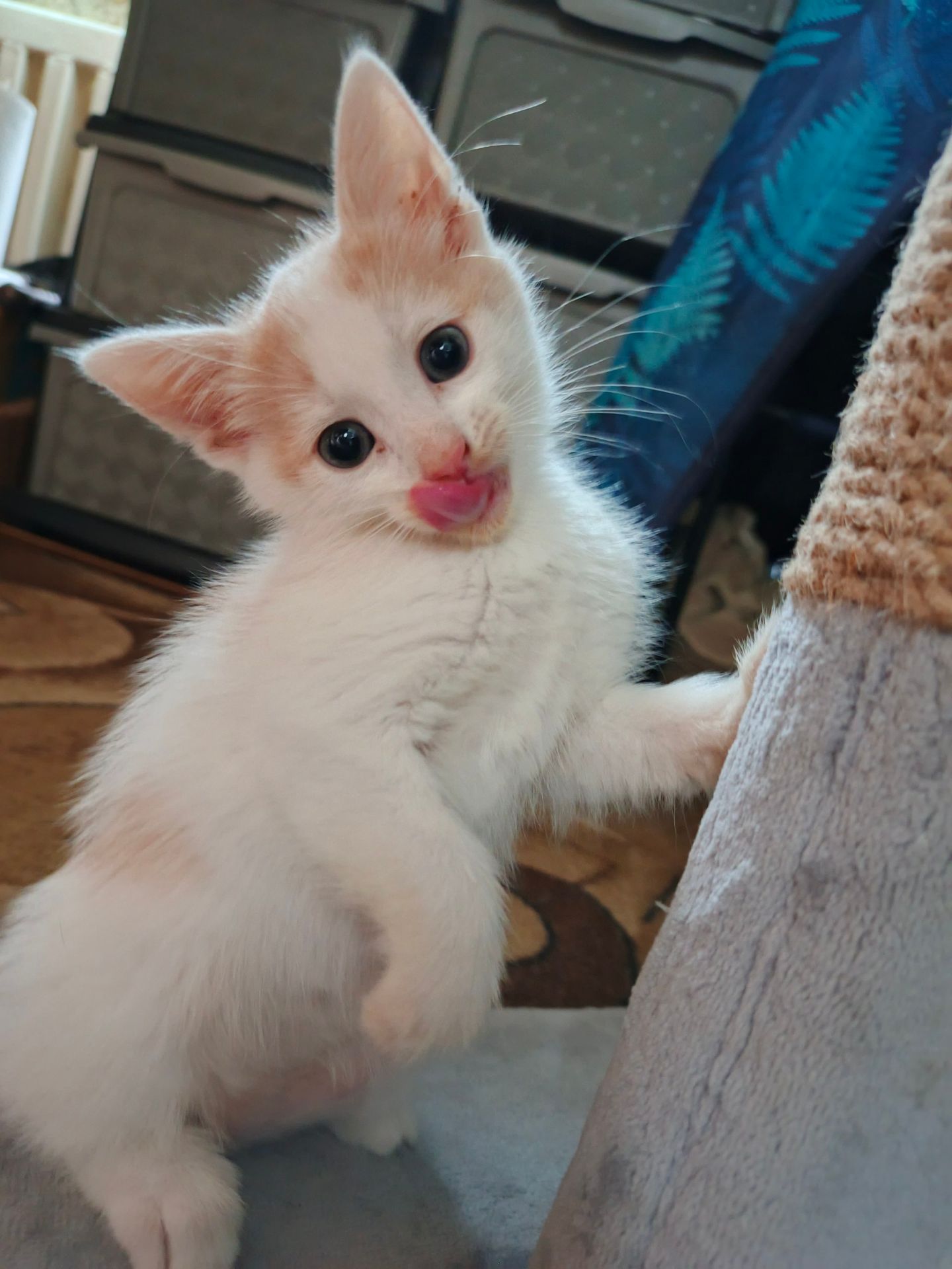 Кляксик