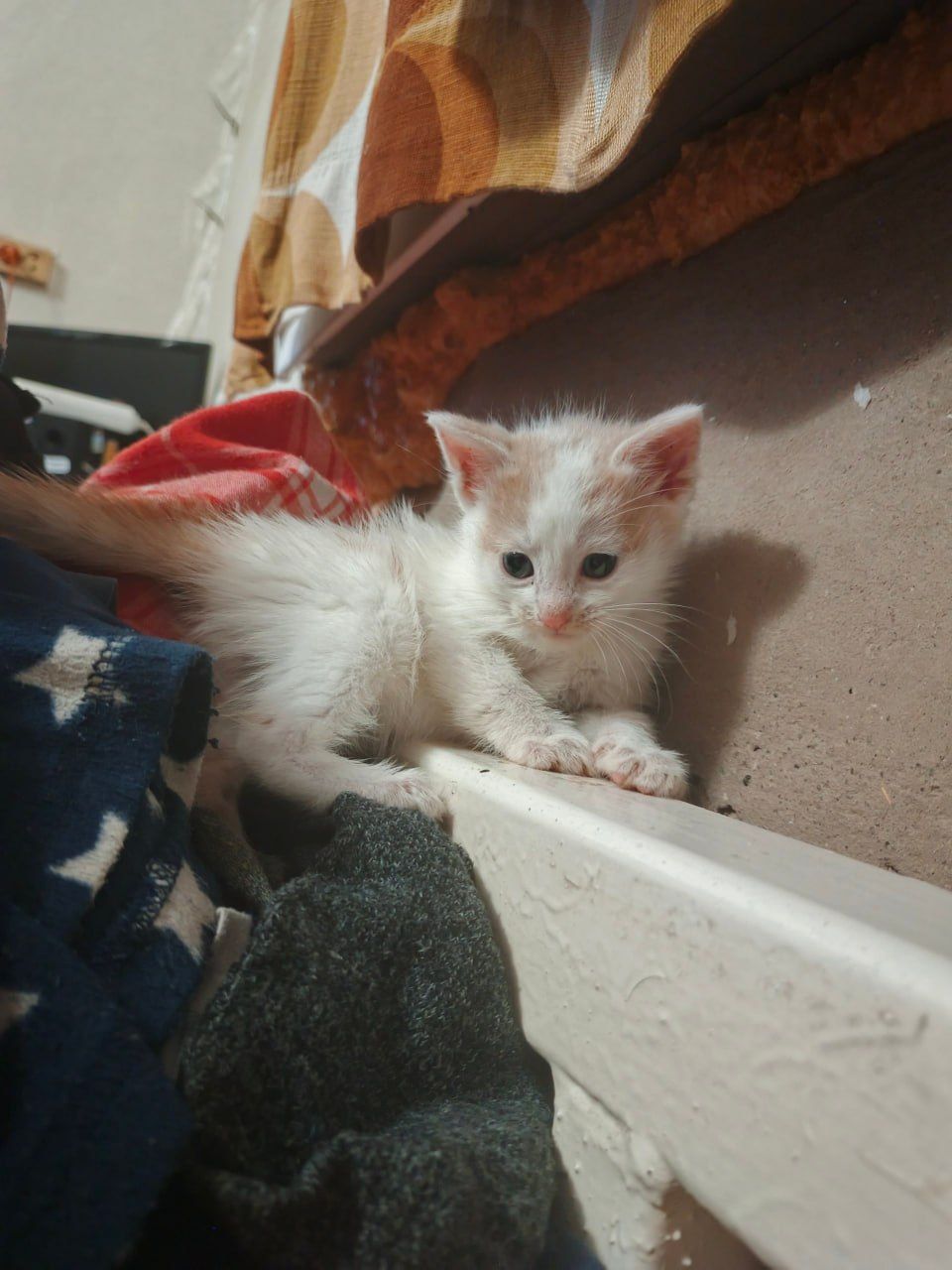 Кляксик