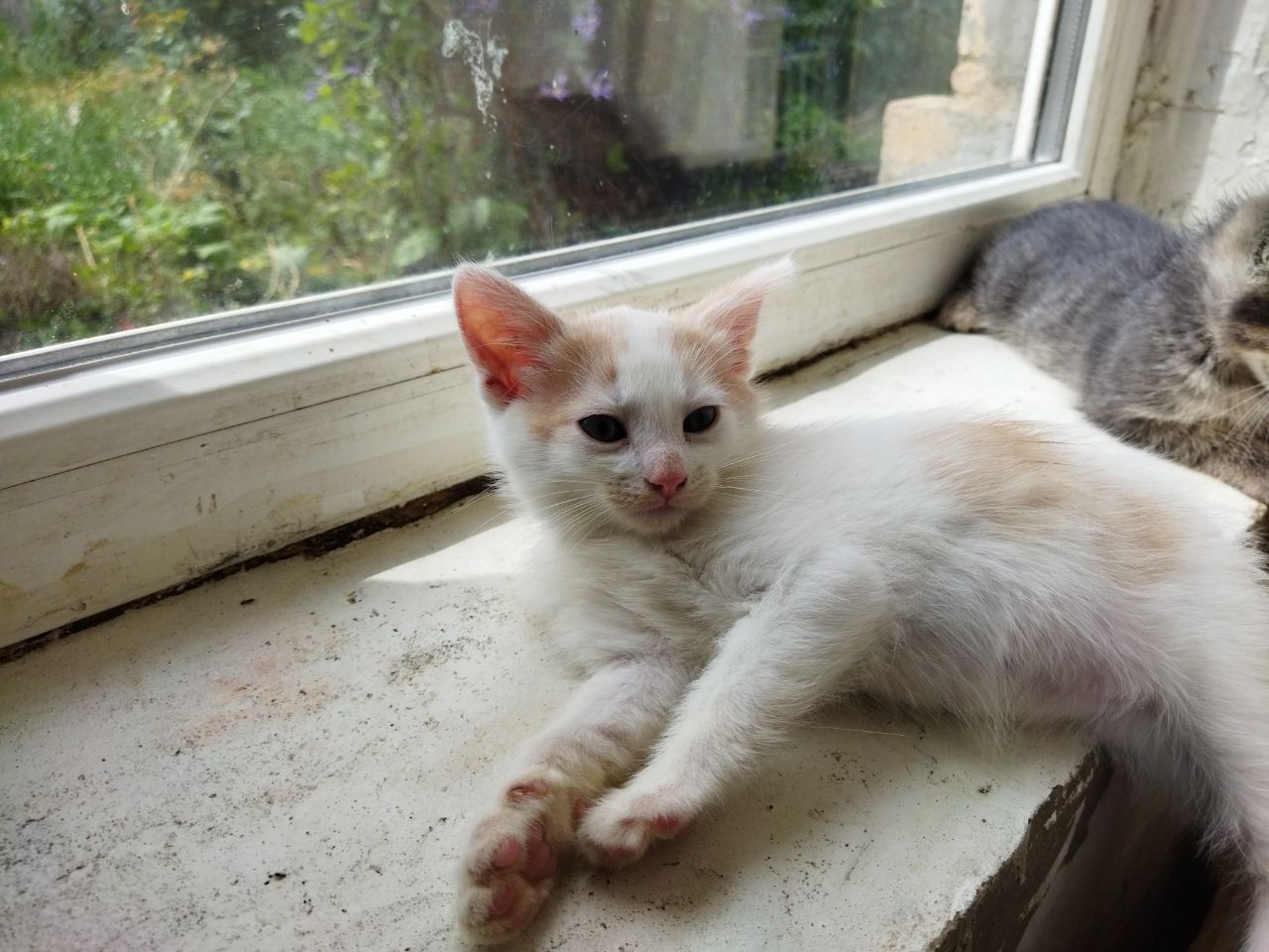 Кляксик
