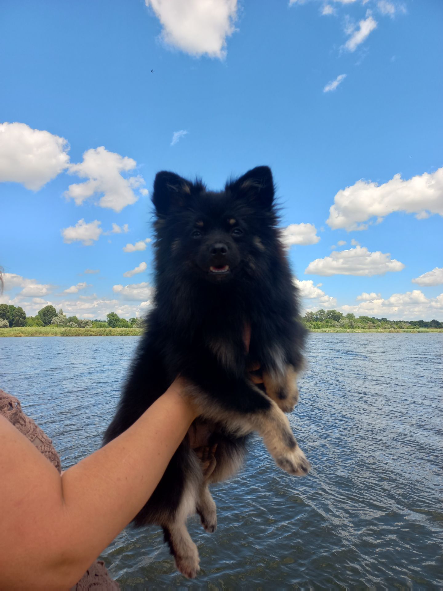 Хлопчик шпіца