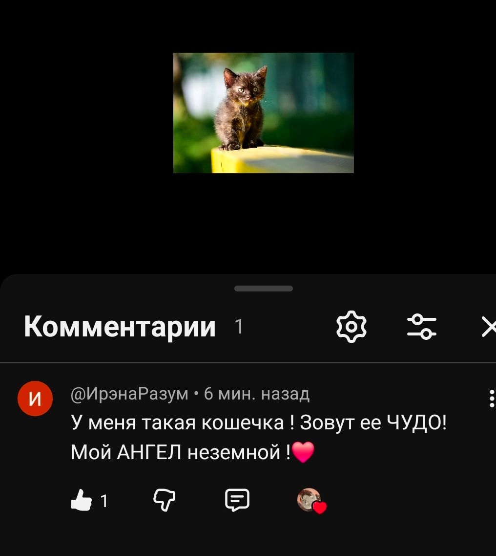 КотоАмулетик на щастя