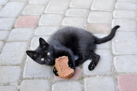 Кошеня Віктор, 3 міс