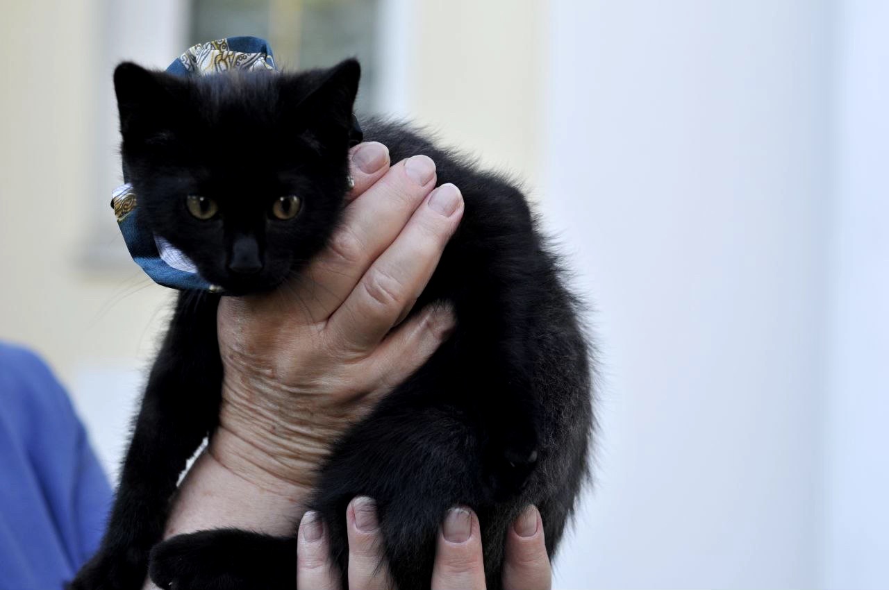 Кошеня Віктор, 3 міс