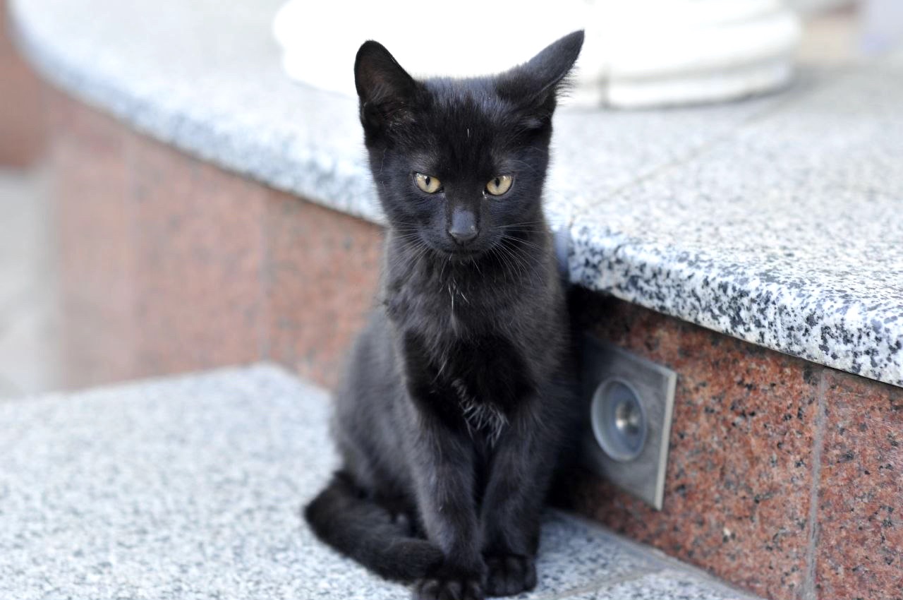 Кошеня Віктор, 3 міс