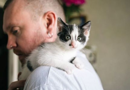 Поночка