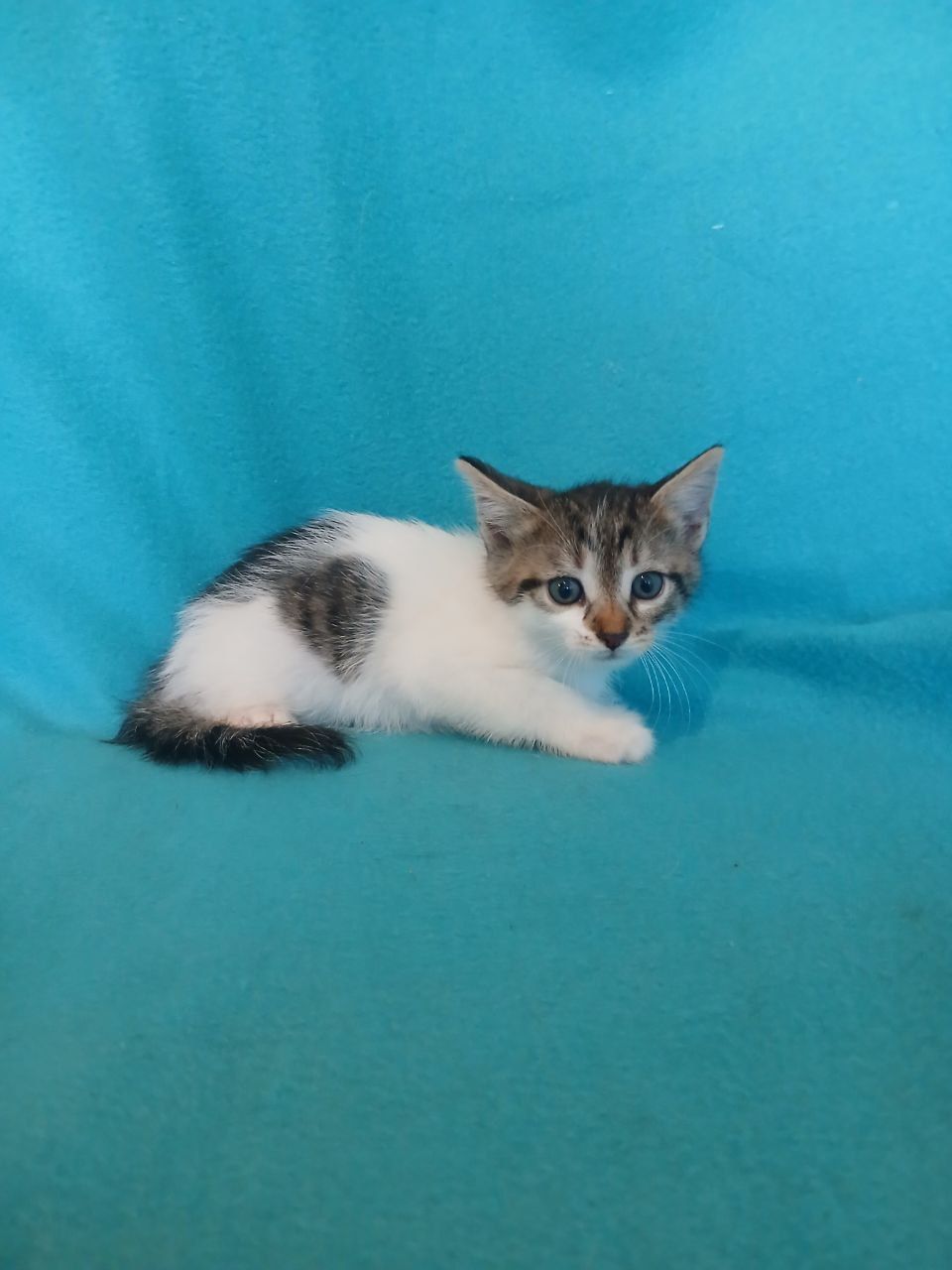 Соля, 2 місяці