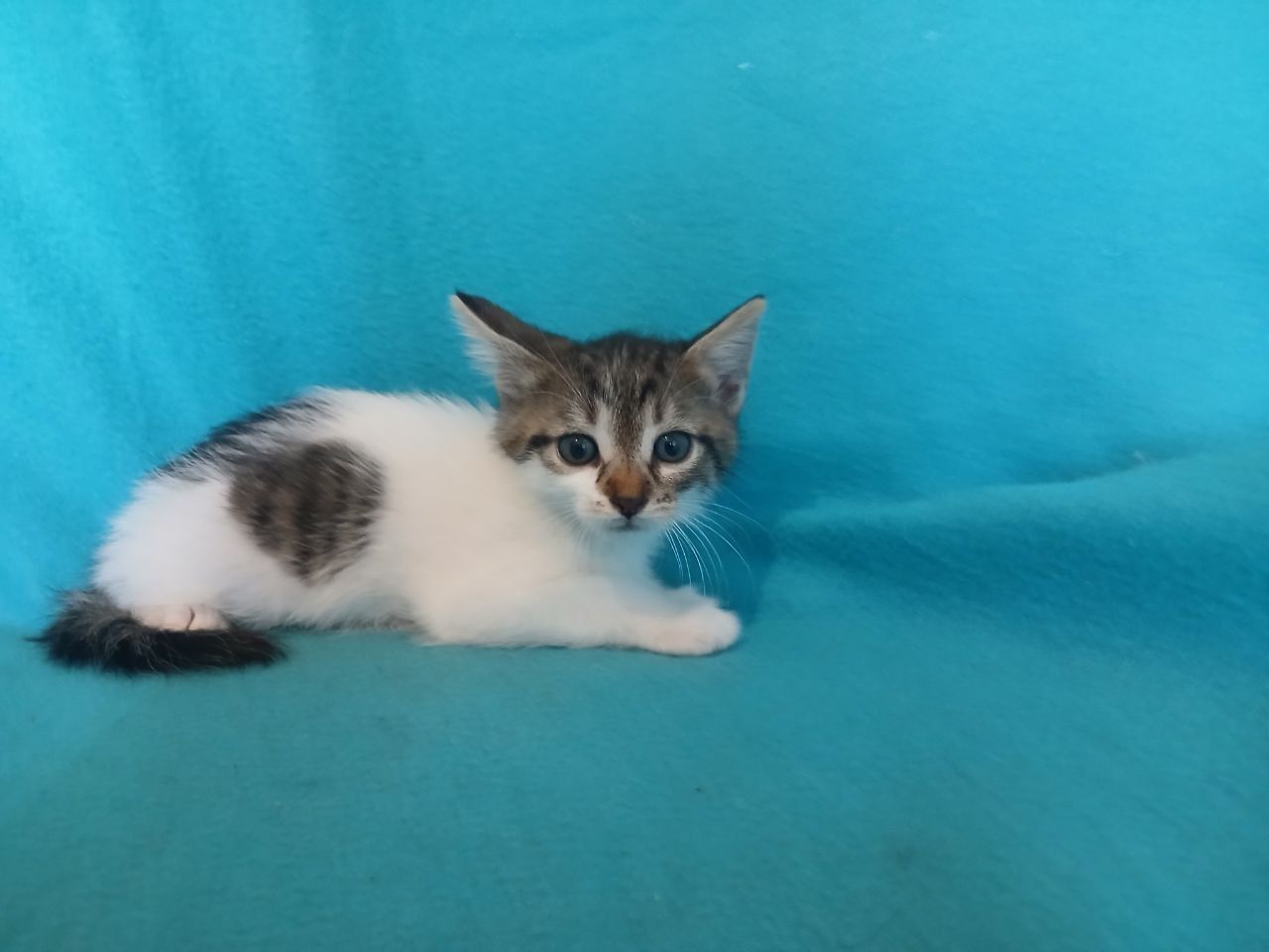 Соля, 2 місяці