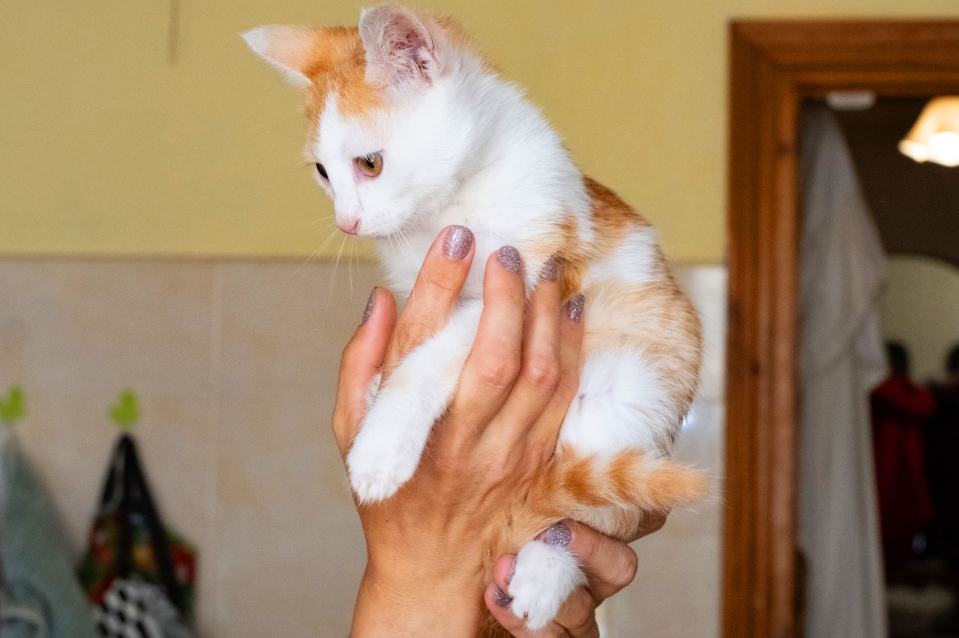 Філ