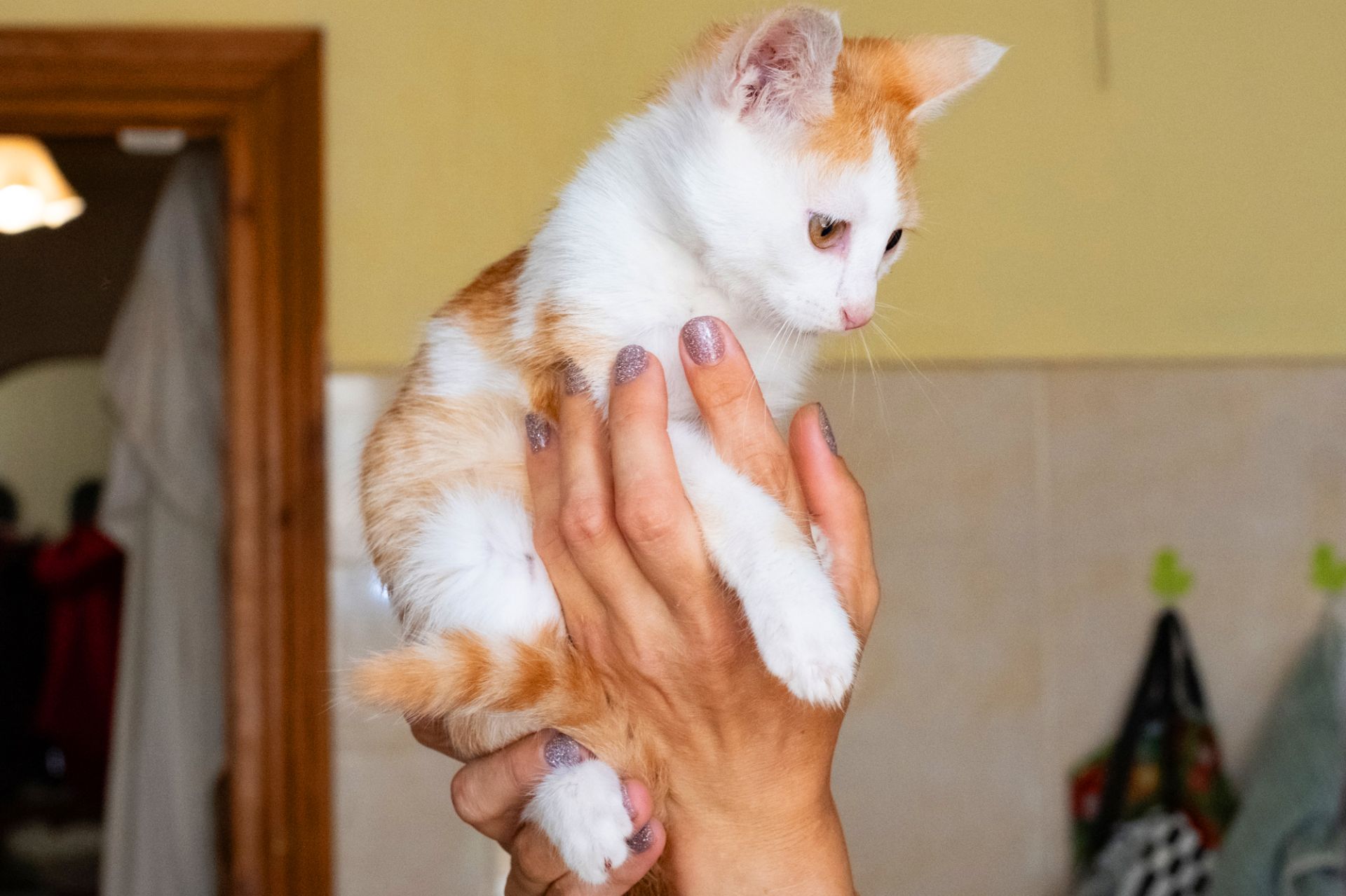 Філ