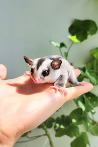 Малюк 2 місяці