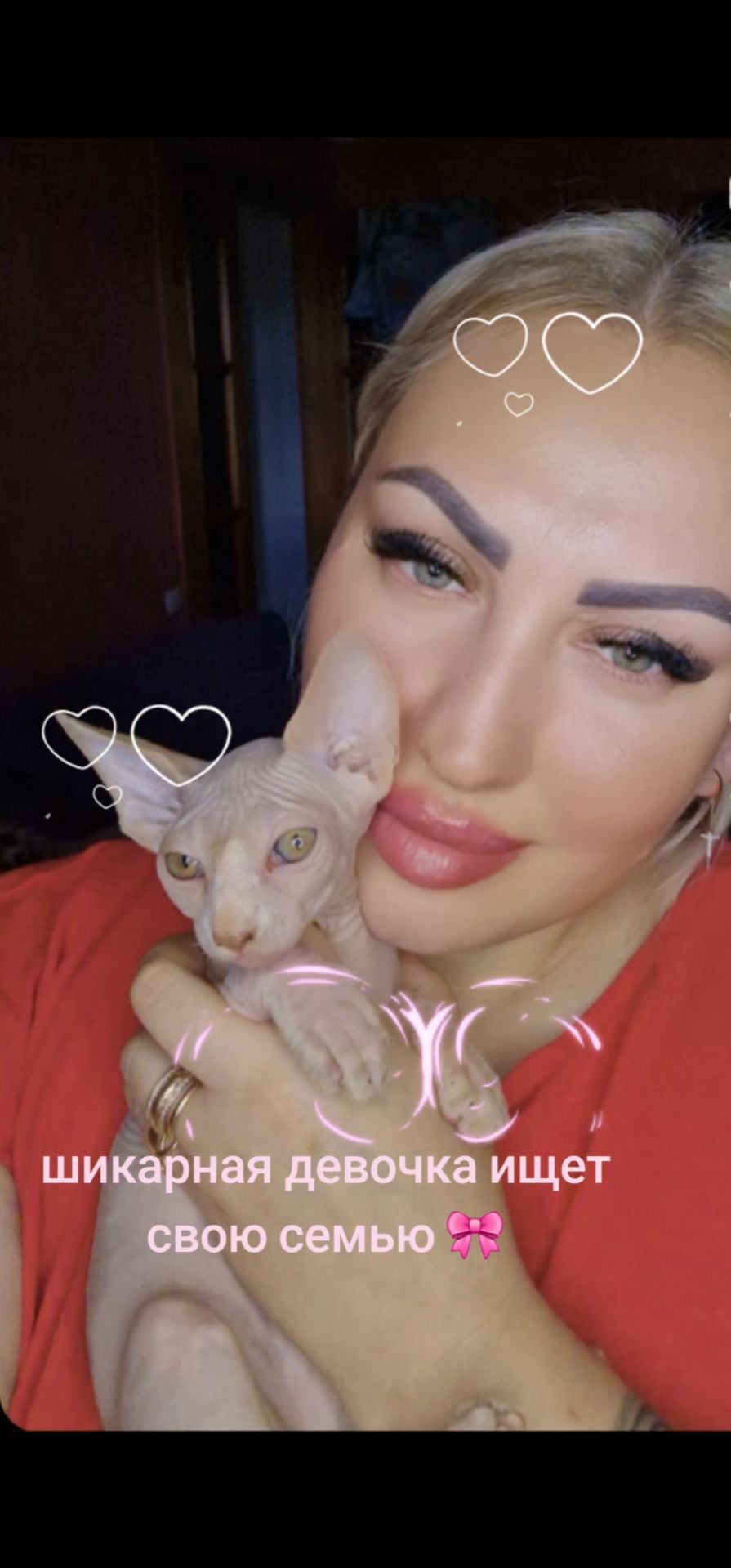 Котёнок канадский сфинкс девочка