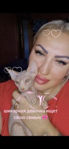 Котёнок канадский сфинкс девочка