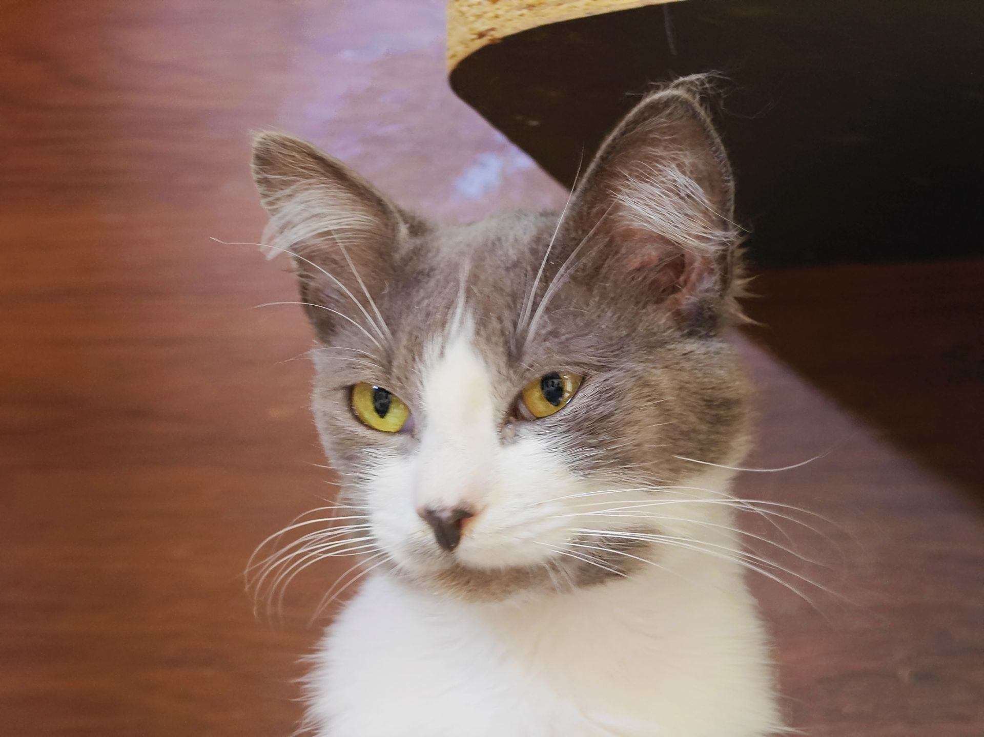 Марк