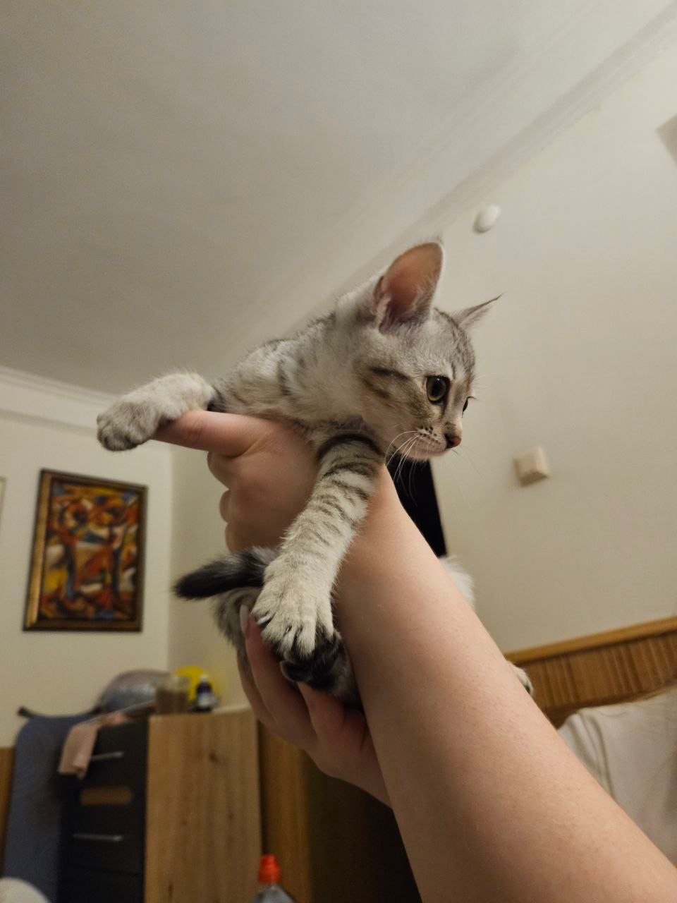 Попеляста дівчинка