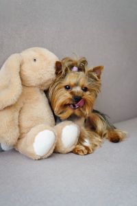 Хлопчик шукає дівчинку