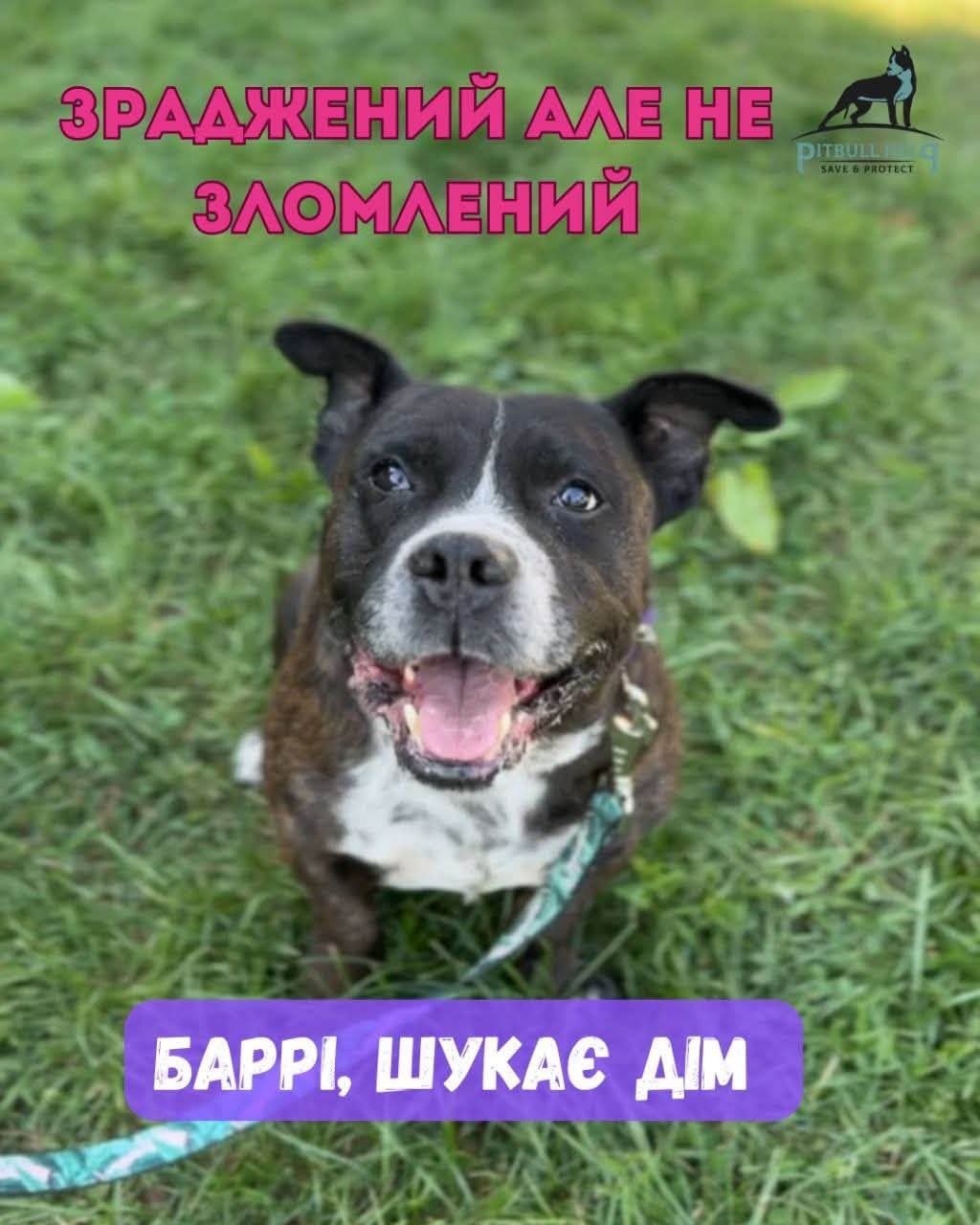Дуже милий Баррі