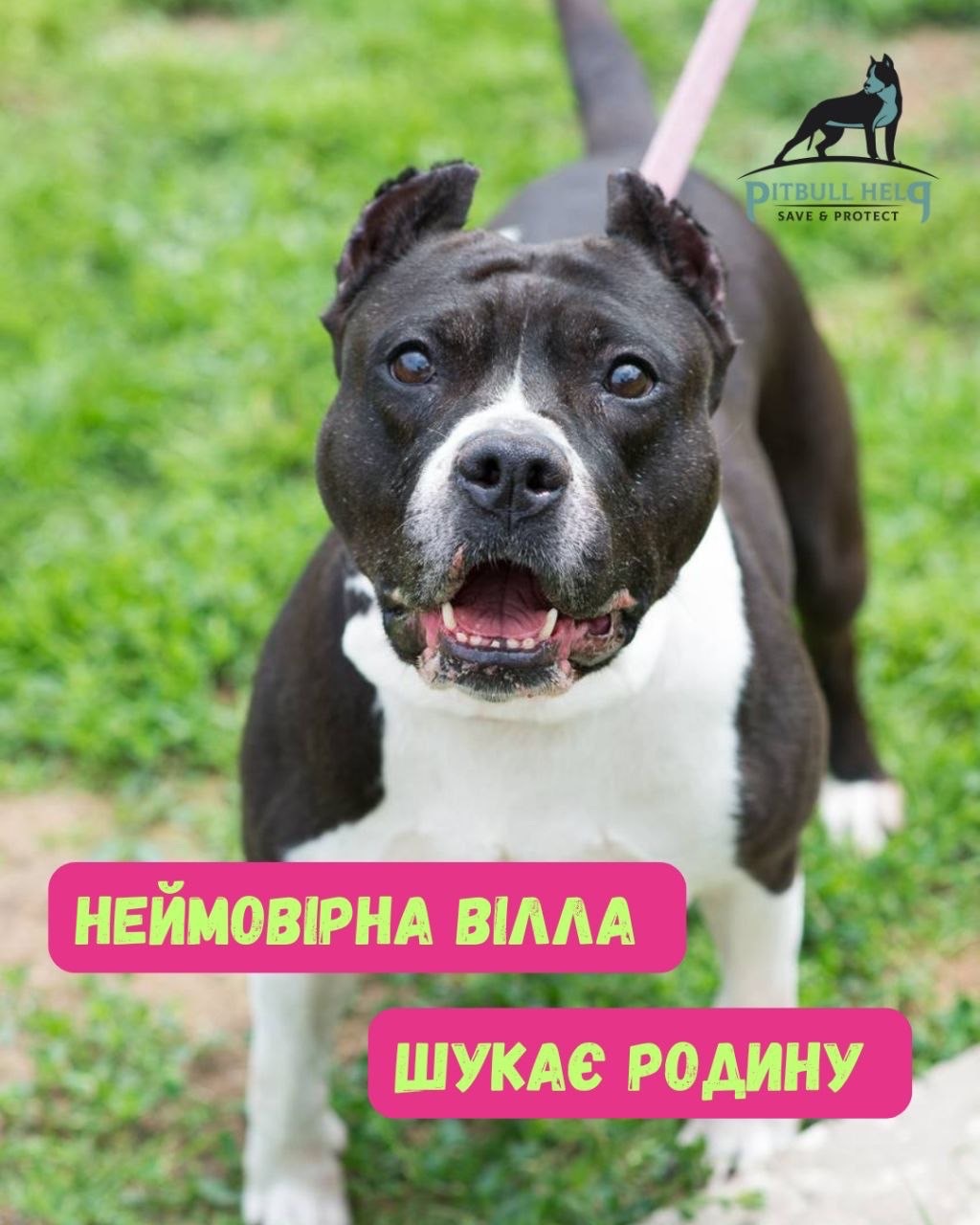 НЕЙМОВІРНА ДІВЧИНКА СТАФФ