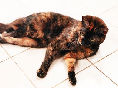 Жана