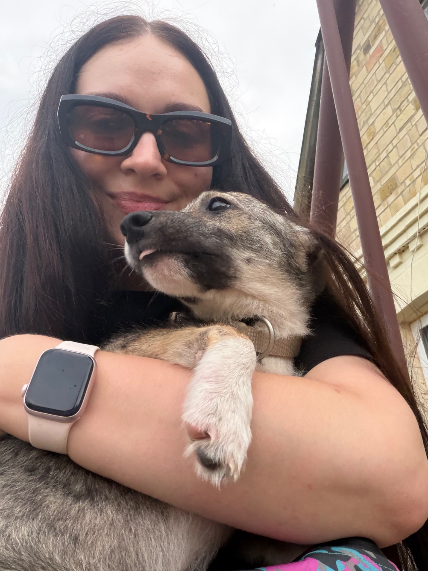Цуценя Ася шукає дім 🐾