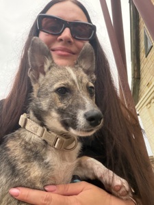 Цуценя Ася шукає дім 🐾