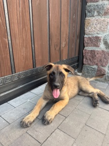 Хлопчик 2місяця