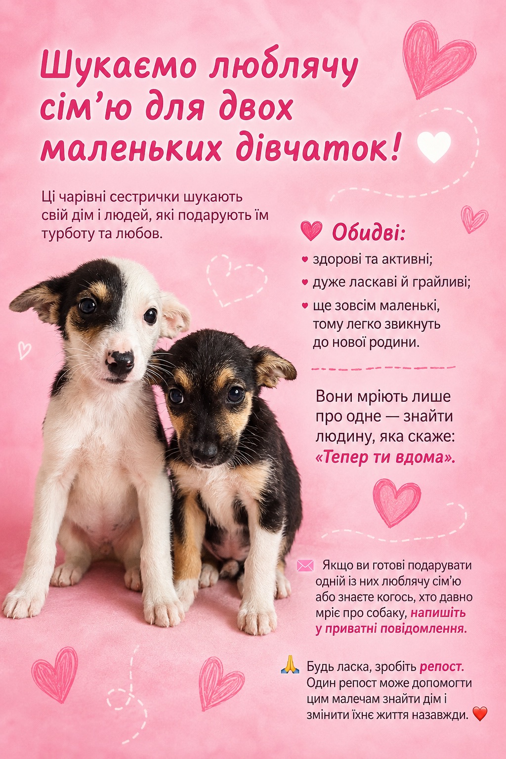 Цуценята дівчатка