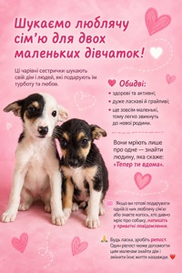 Цуценята дівчатка