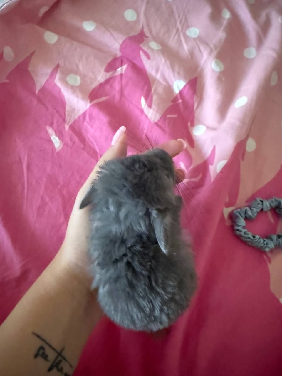 Маленький хлопчик фіолет 2 місяці
