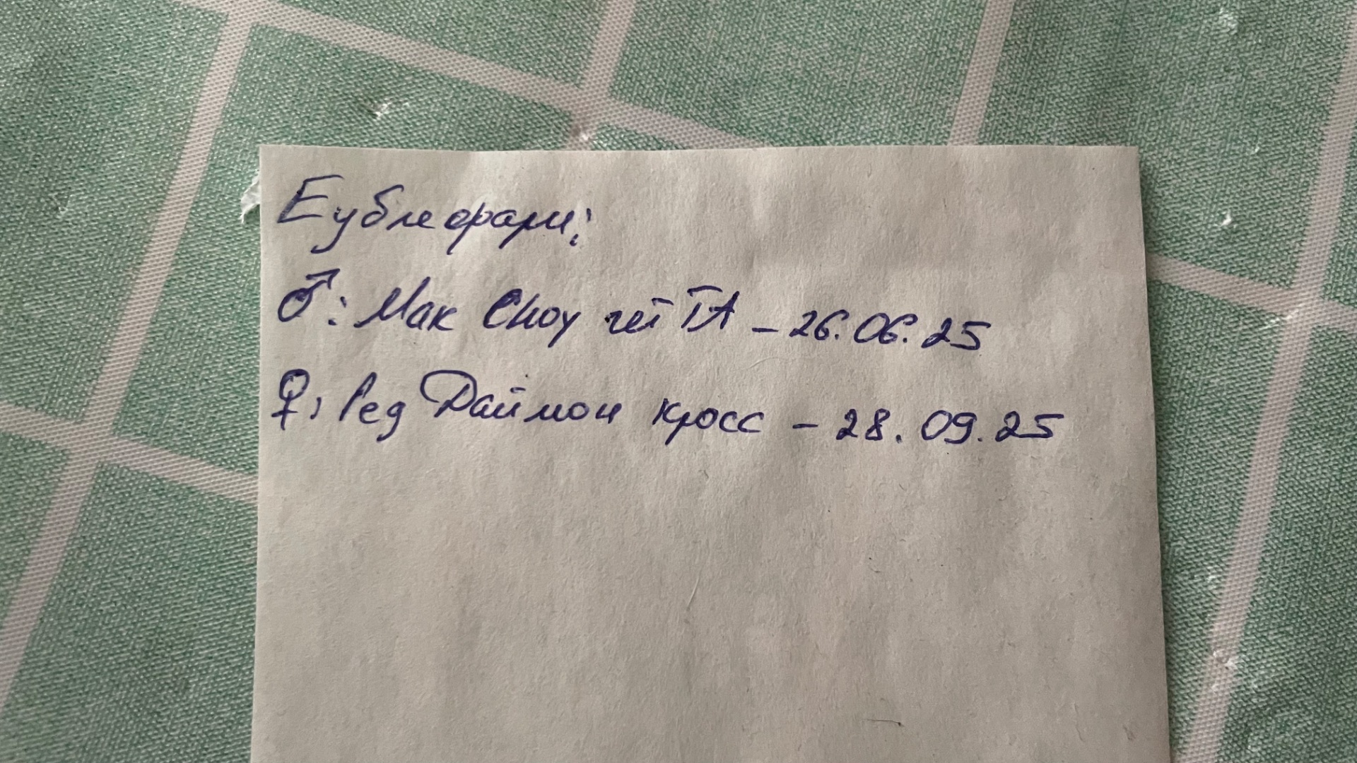 Пара еублефарів з тераріумом