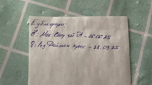 Пара еублефарів з тераріумом