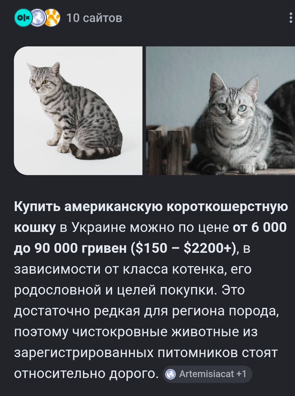Дн 17.04.2026 Метис Американської короткошорстної Матусі