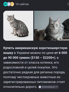 Дн 17.04.2026 Метис Американської короткошорстної Матусі